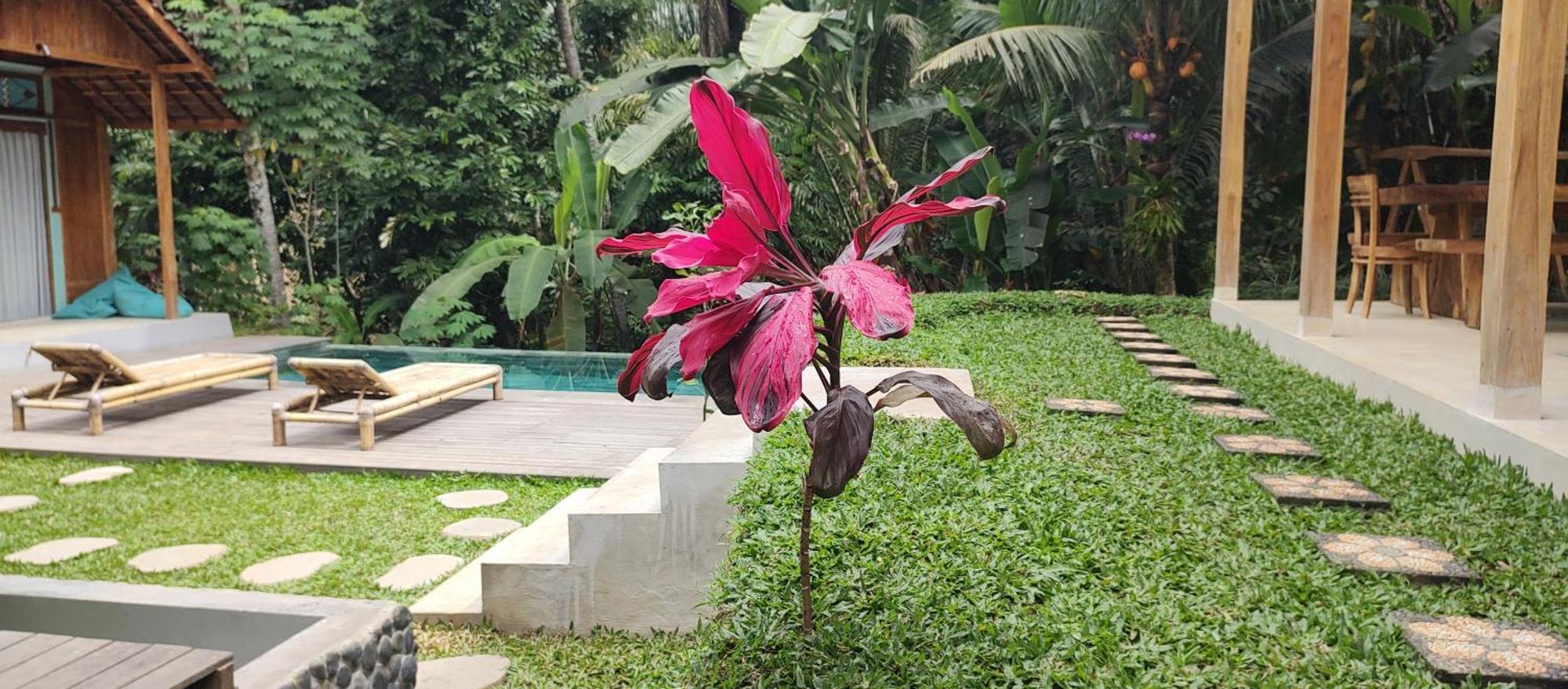Rumah Guci Ubud Buitenkant foto