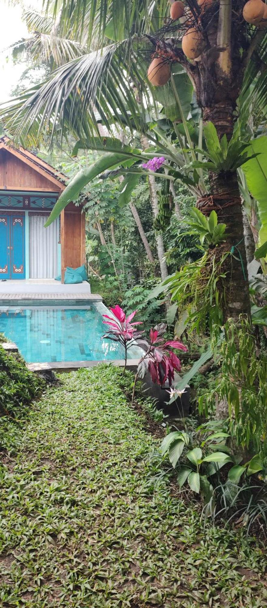 Rumah Guci Ubud Buitenkant foto
