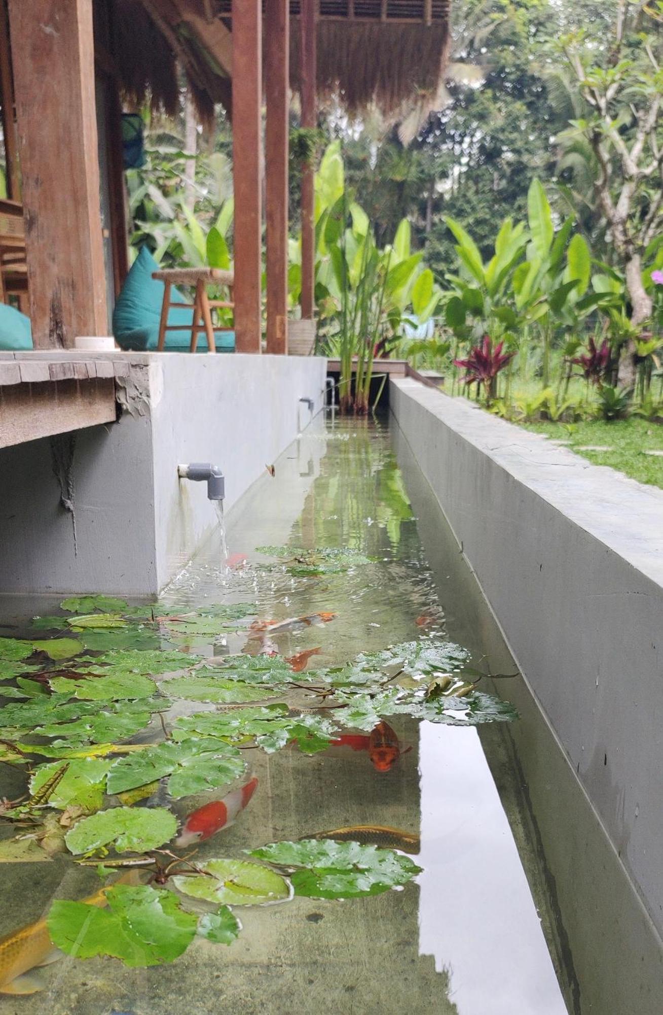 Rumah Guci Ubud Buitenkant foto