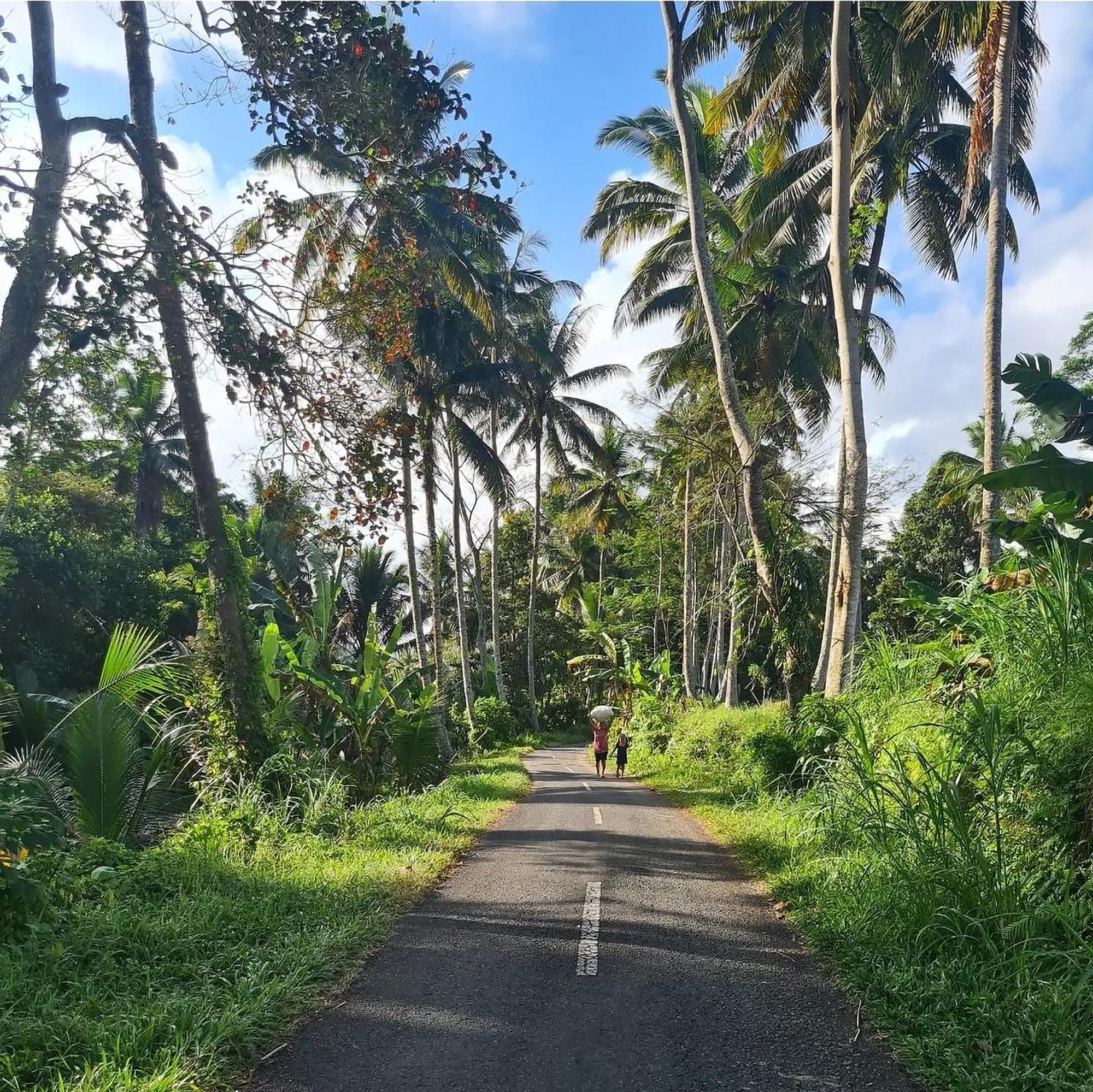 Rumah Guci Ubud Buitenkant foto